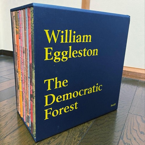 William eggleston the - eggleston,