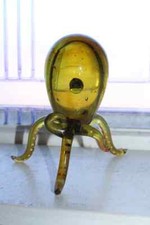 Statuina calamaro polpo in