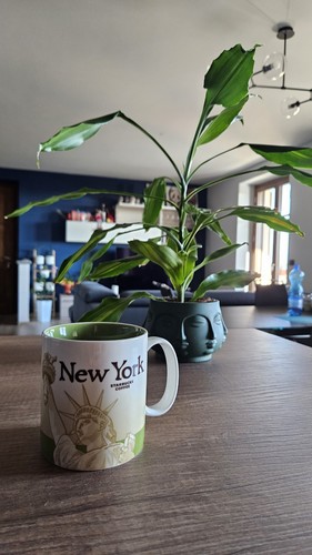 Starbucks mug new york - starbucks,