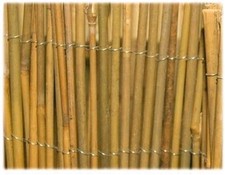 ARELLA IN BAMBU MT 2 X 3