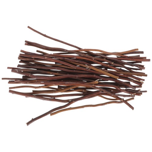40pcs ramoscelli betulla - ramoscelli,