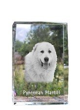 Mastino dei Pirenei cristallo con cane Art-Dog