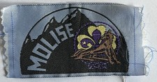 scout agesci Distintivo