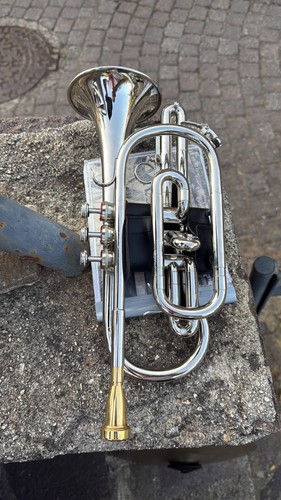 Tromba sib - tromba, in