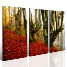 Quadri moderni Secular tree