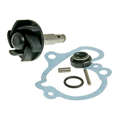 Vicma kit riparazione pompa - vicma,