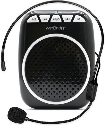 Winbridge wb001 amplificatore - wb001,