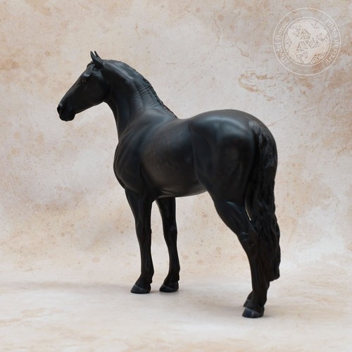 Cavallo canadese hayes - cavallo,
