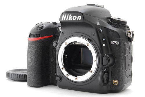 Nikon d750 megapixel - nikon,