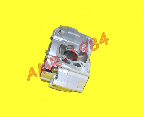 Coppia carter motore - motore, rotax