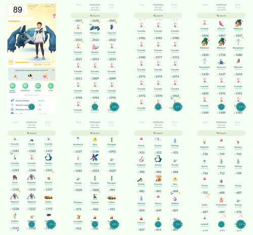 Pokémon acc lvl 4 - acc,