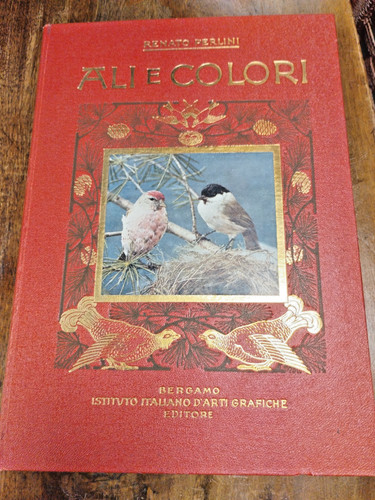 Ali colori perlini tavole - 24,