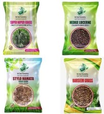 Super Napier + Siepe Lucerna +