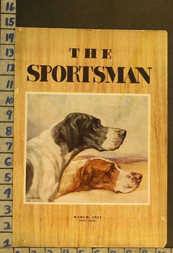 1937 sport hunt upland - upland, bird