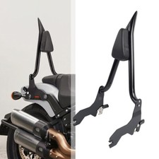 Schienale passeggero Sissy Bar