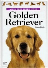 Golden Retriever von Bruce