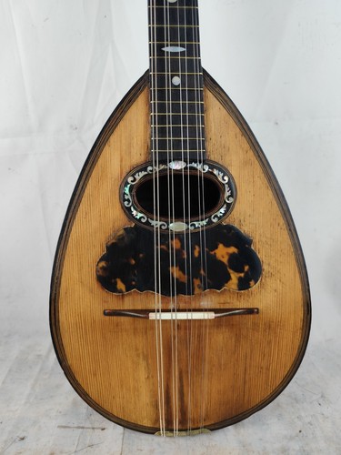 Mandolino fratres calace - 4/4,