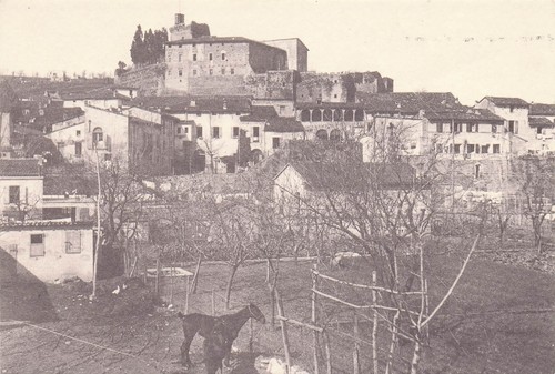 45b cartolina meldola foto - 33-45b),