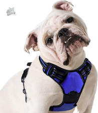 Pettorina Cane Taglia Media