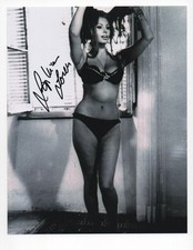 Sophia Loren signed autograph