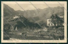 Como Osteno Loggio Arnie Api cartolina QK3675