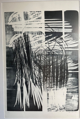 Litografia hans hartung - litografia,