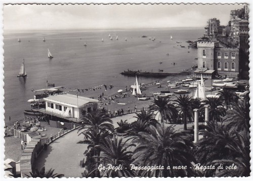 Genova città 569 - -, club