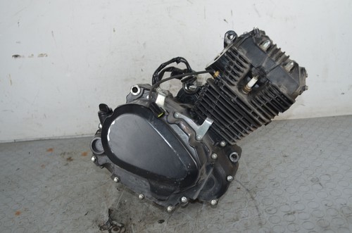 101685 blocco motore moto - 101685,