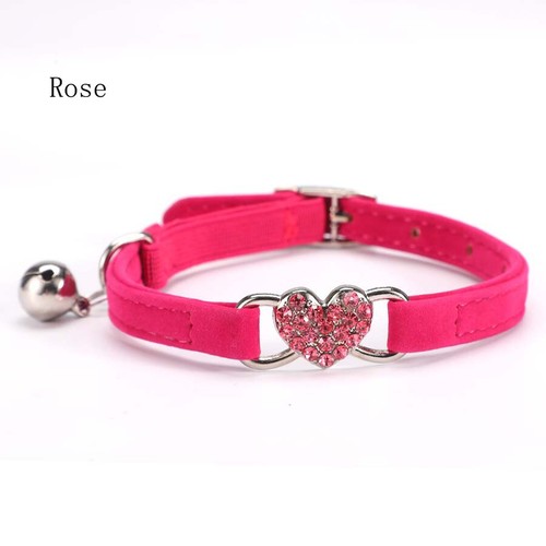 Collana cucciolo pet - pet, cane