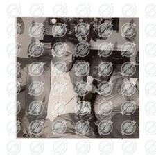 Foto Vintage Anni ’50 Federico Fellini con Dotts Johnson e Bambola Cabiria