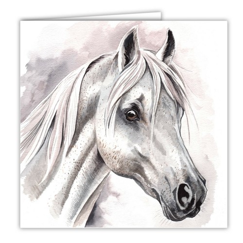 Biglietto auguri cavallo - auguri,