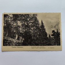  CARNIA PITTORESCA CON FRASE DEL CARDUCCI CARTOLINA ANTICA SPEDITA 1915