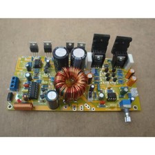 Toshiba Coppia Tube Integrate Mono 150W Boutique Amp Board DC 12V con Boost
