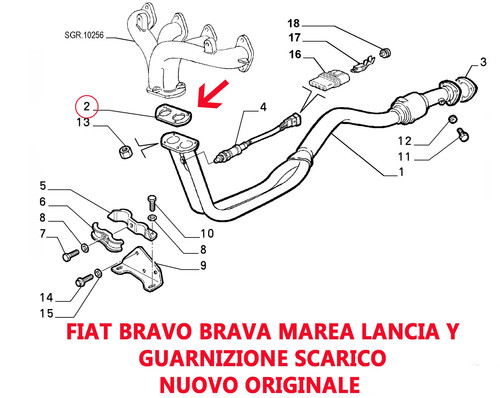 Guarnizione scarico fiat bravo - guarnizione,