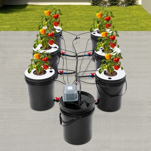 Deep water culture hydroponic - deep,