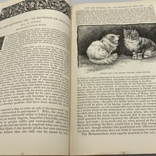 Victorian Louis Wain Cats V. Early Illustrated England Book 1889 H/B Damage Vtg.