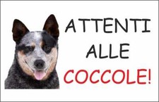 CARTELLO SEGNALETICO - AUSTRALIAN CATTLE DOG ATTENTI ALLE COCCOLE - segnale