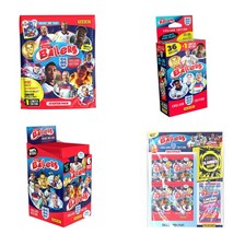 Figurine Panini Ballers