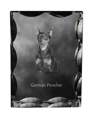 Pinscher tedesco cornice - , di