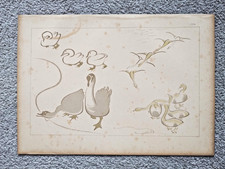 Geese and Ducks by Massayoshi