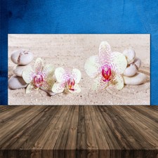 120x60 Paraschizzi in Vetro