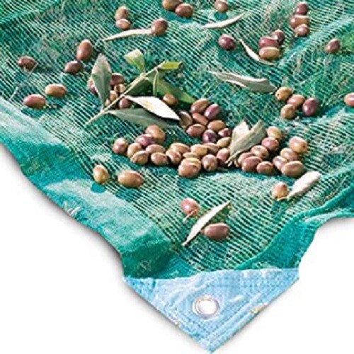 Reti per raccolta - , olive
