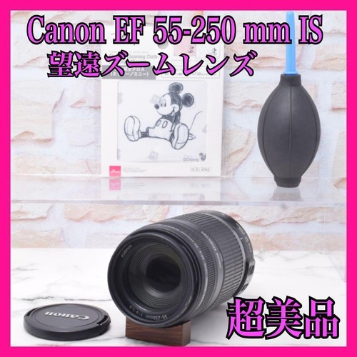 Canon 250 5 6 - ef-s, is