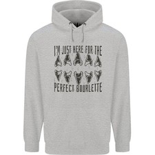 Squalo Denti Fossils Megalodon