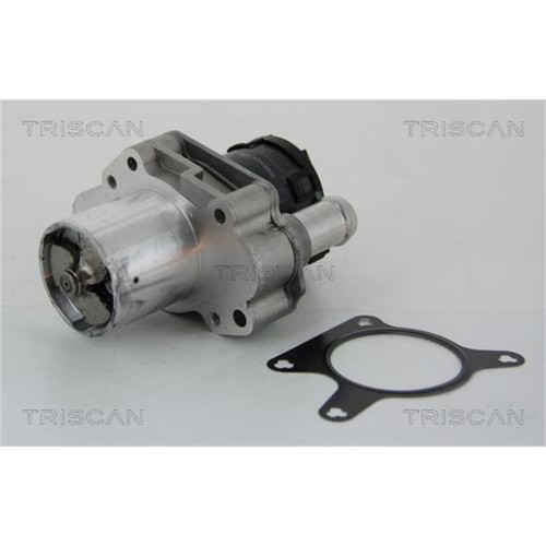 Triscan valvola egr per - valvola,