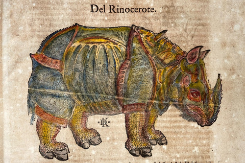 Rinoceronte 1558 cosmografia - rinoceronte,