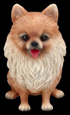 Statuetta cane pomerania - statuetta,