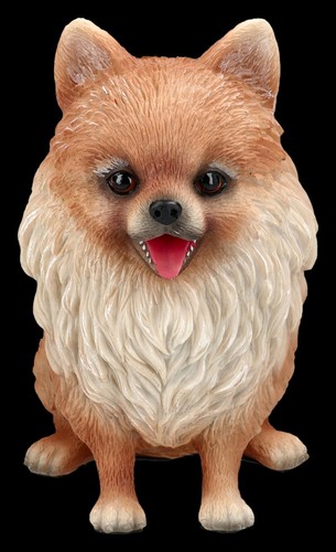 Statuetta cane pomerania - statuetta,