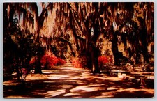 Cartolina Cimitero di