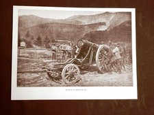 WW1 Prima guerra mondiale